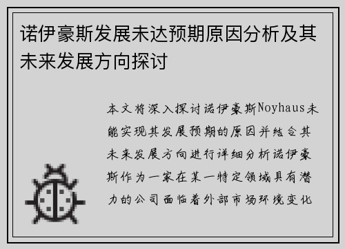 诺伊豪斯发展未达预期原因分析及其未来发展方向探讨 诺伊豪斯发展未达预期原因分析及其未来发展方向探讨